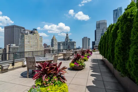 Rooftop terrace with potted flowers, wooden chair, green hedges and city skyline views.